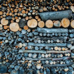 Pile de bois prête pour l'hiver (© Nanni Villani PNAM)