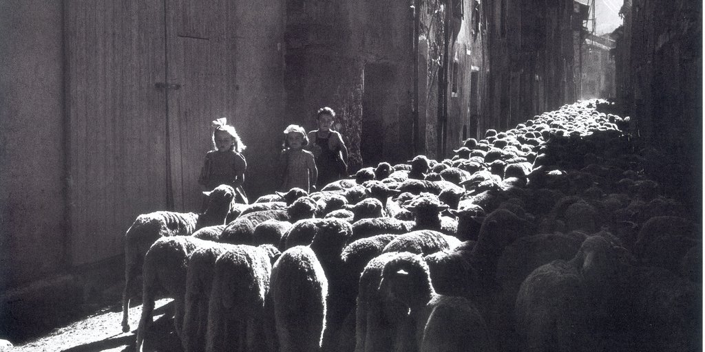 Un flot de brebis envahit les rues du village (© Archivio Ecomuseo della Pastorizia)