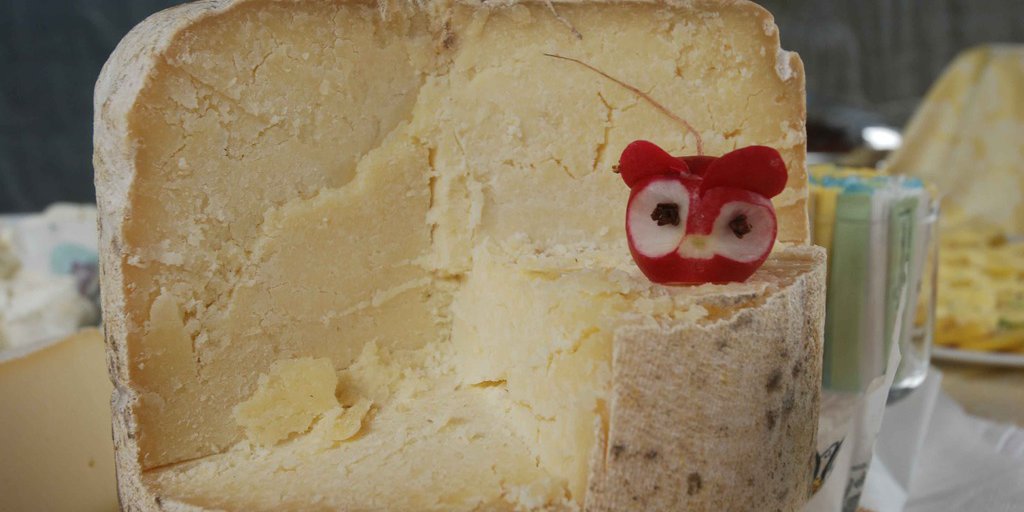 Une tome d'Ariùnd des Alpes, fromage produit en Vallée Gesso (© Nanni Villani PNAM)