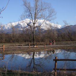 Parco fluviale Gesso e Stura (G. Bernardi)