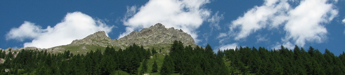 Vue du sommet de la Gran Madre di Dio depuis le Pian della Casa, avec le versant rocheux émergeant au-dessus d’une dense forêt de mélèzes sous un ciel bleu parsemé de nuages blancs. Archives APAM. Fin de la description de l’image.