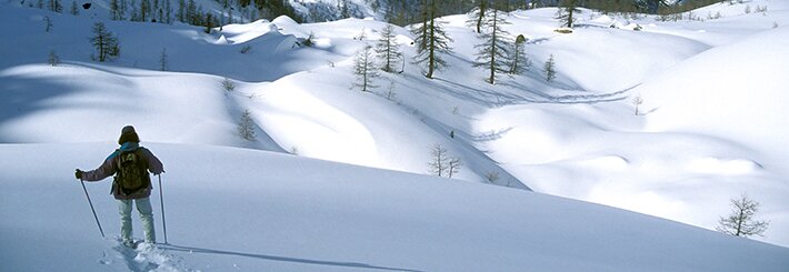 Randonneur dans un paysage enneigé, entouré de douces pentes et de mélèzes dénudés sous la lumière claire de l’hiver dans les Alpes-Maritimes. Archives APAM. Fin de la description de l’image.