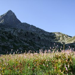 Mont Frisson dans la Haute Val Grande (G.Bernardi)